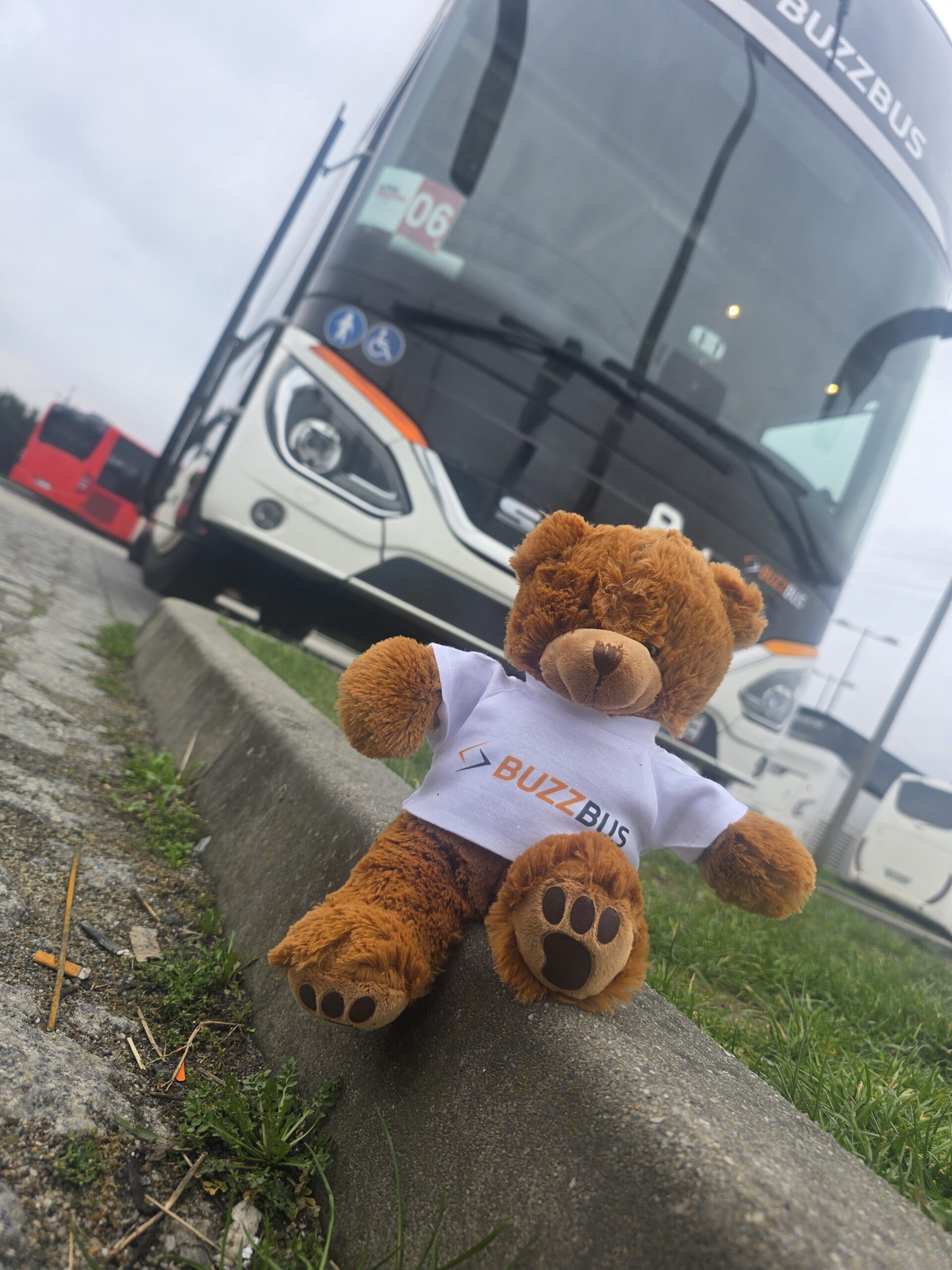 Autokar Buzzbus obsługujący przewozy w Polsce
